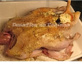 Barrar o pato 2 copy