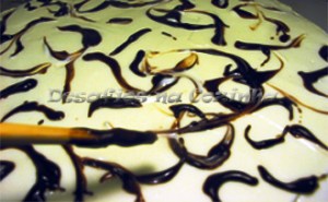 rabiscos m chocolate copy