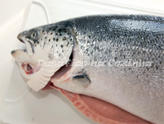 cabeça do salmão copy