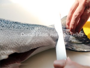 cortar salmão 6 copy