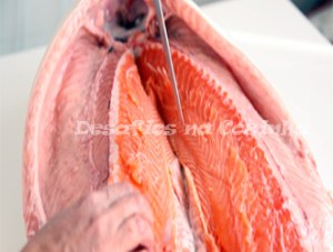 cortar salmão 8 copy