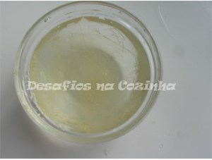 demolhar gelatina copy