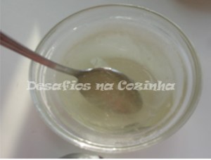 diissolver gelatina copy