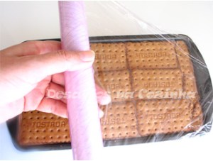 pelicula aderente copy