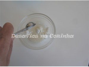 amido e vinagre2 copy