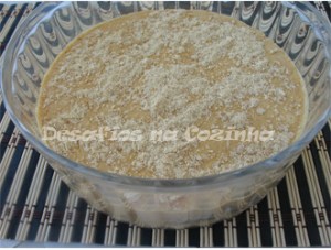 Baba de camelo feita copy