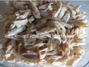 frango desfiado copy