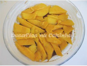 Manga na forma2 copy