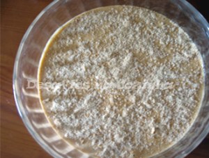 ultima camada de bolacha copy