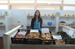 Batatas e cebolas-Art copy