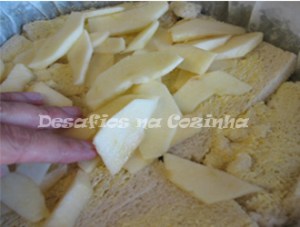 camada de maçã - TMP copy