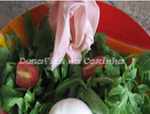 Colocar fiambre copy