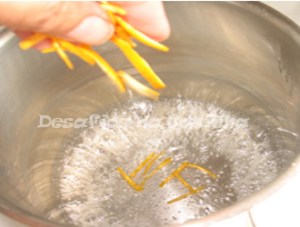 Laranja na calda copy