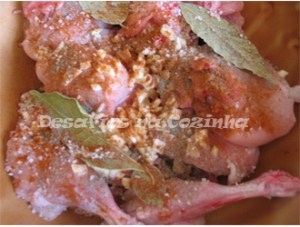 Temperar coelho2-CC copy