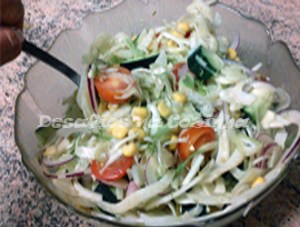 Temperar salada copy