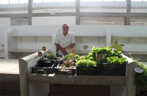 Vendedor de Legumes legumes-Art copy