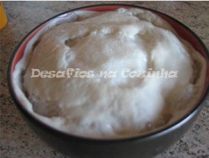 Fermento fermentado copy