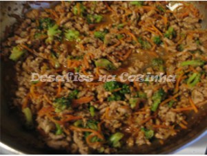 carne cozinhada copy