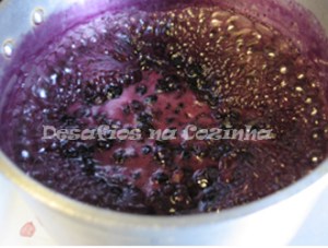 Mirtilos a ferver copy