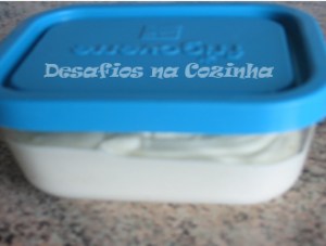 Maionese para o frigorifico copy