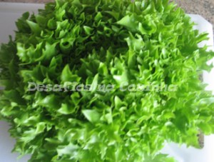 alface frisada copy