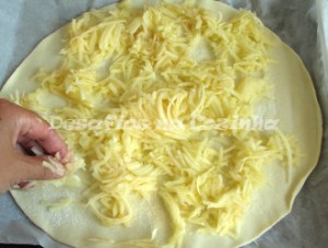 primeira camada de maçã copy