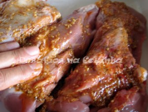 Esfregar o peru copy