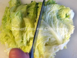 Cortar lombardo copy