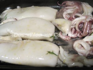 lulas a grelhar copy