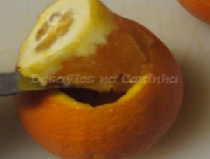 tirar polpa da laranja2 copy