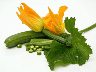 Courgette em flor.png